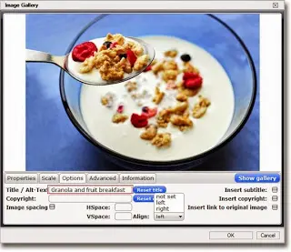 Pimienta Comunicación - 2 claves para OPTIMIZAR tus imágenes en Social Media - image alt tag highlighted